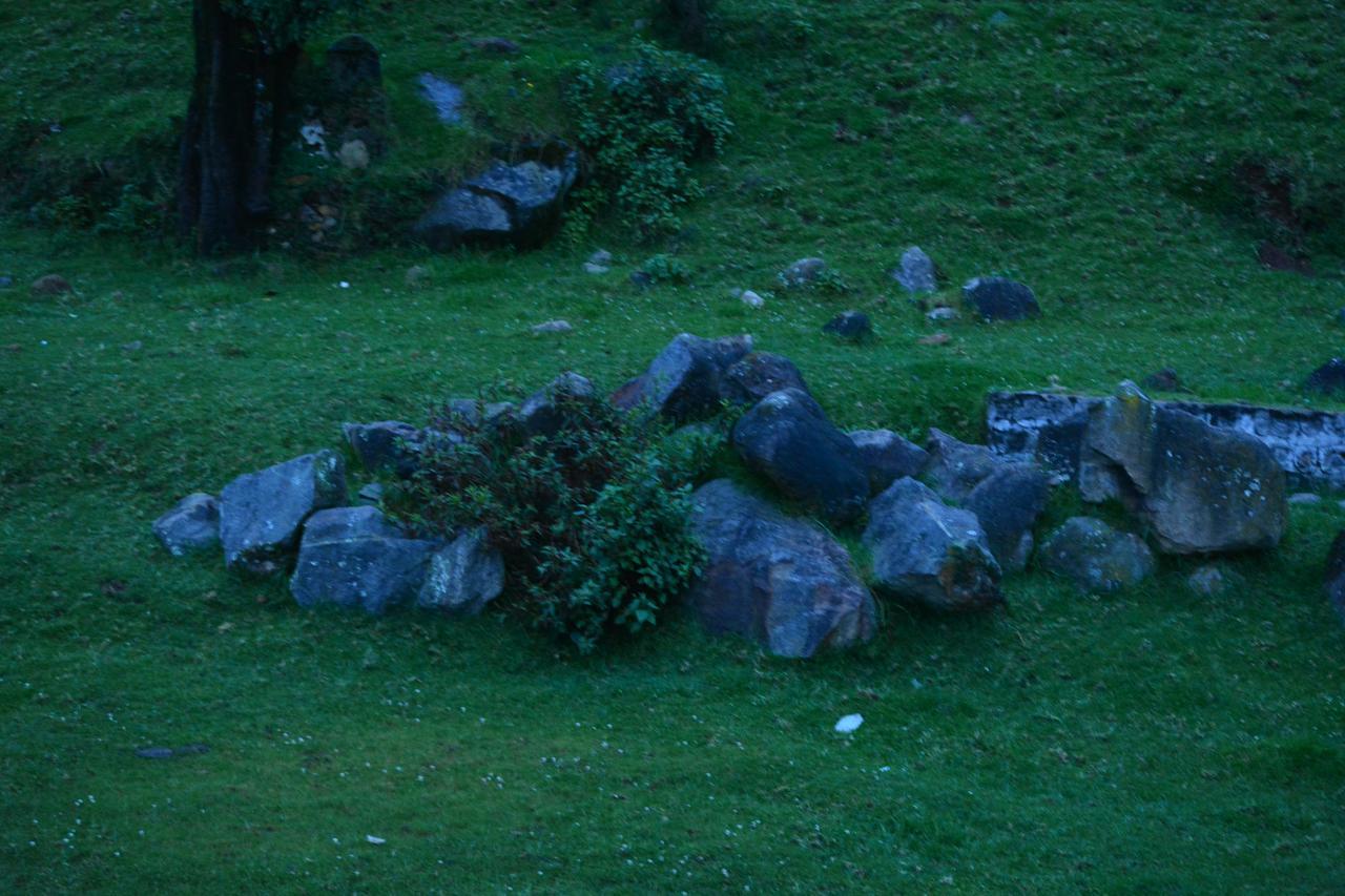 The Conerstayz Ooty Eksteriør billede